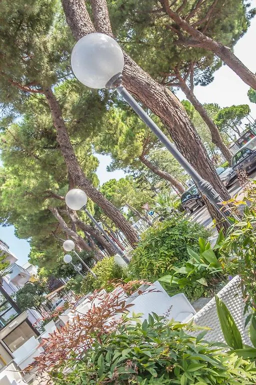 Ciccio Hotel Misano Adriatico